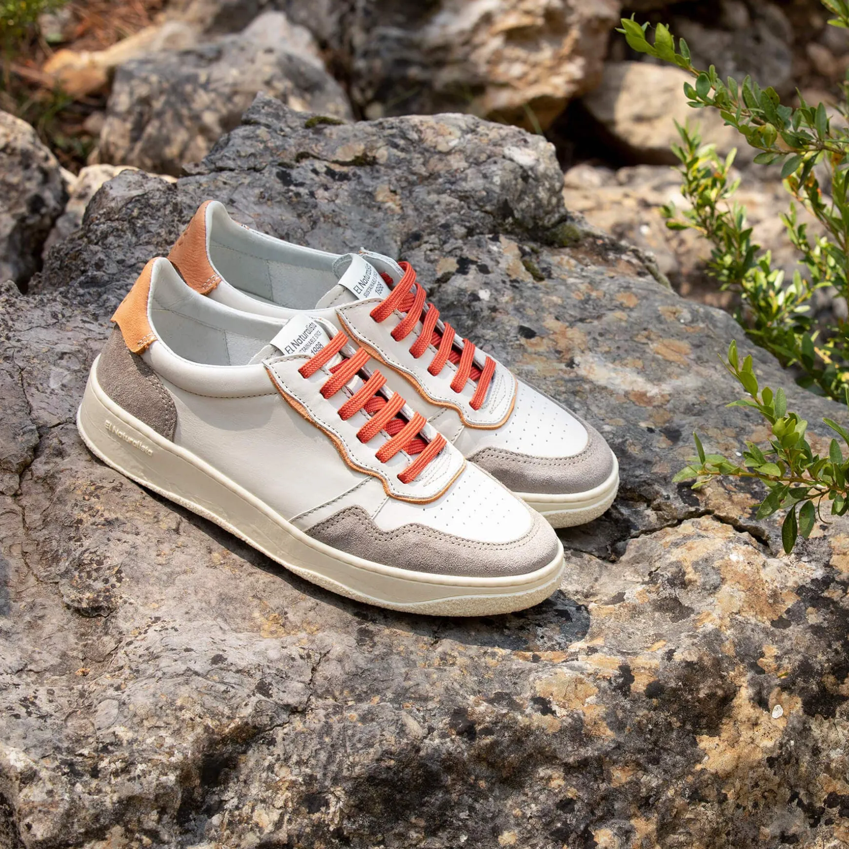 Women El Naturalista Sneakers|Sneakers|5840 GEO