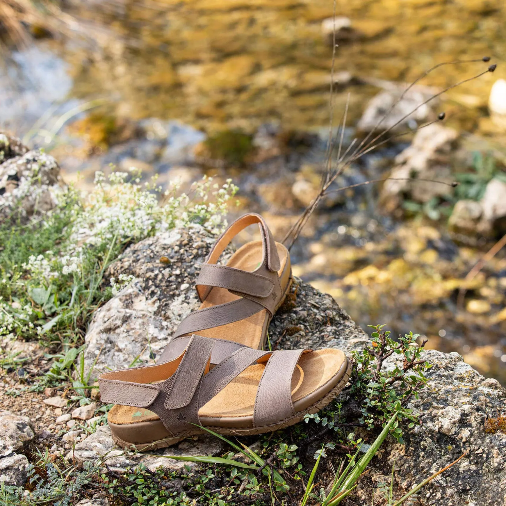 Women El Naturalista Sandals|Sandals|5860 TABERNAS